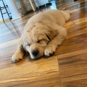 Meet your Posher, Jenna